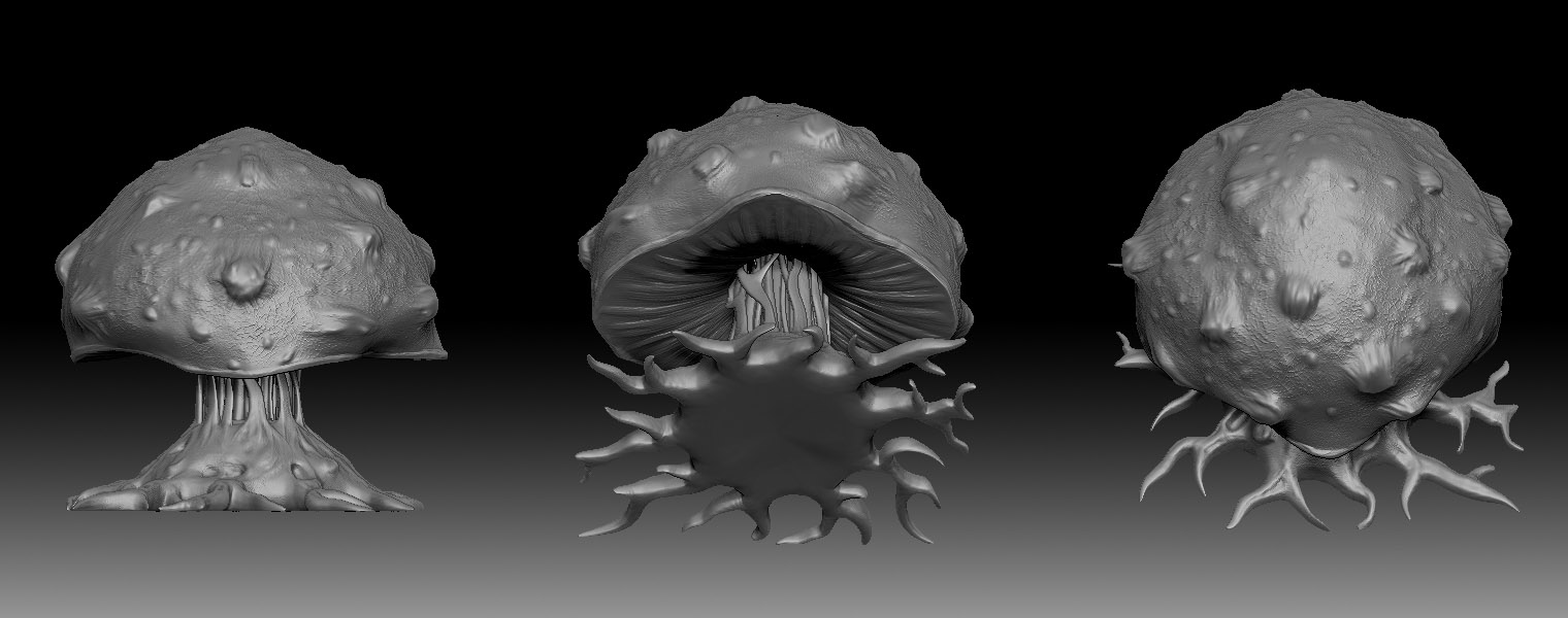 leech_final_detail.jpg