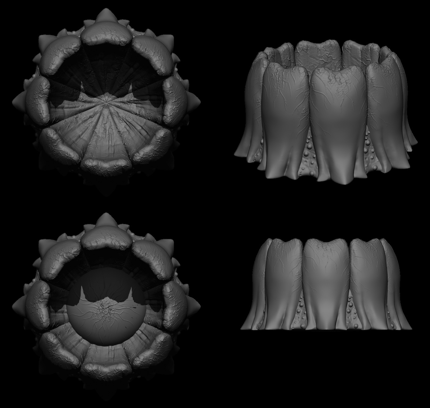 Egg_Wip_3.jpg